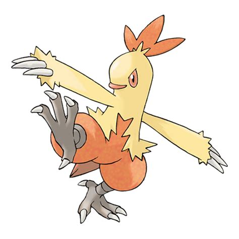 combusken serebii